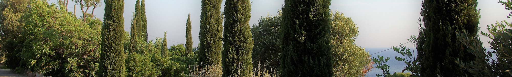 Titolo immagine