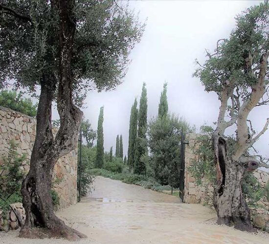 Giardino leucadense