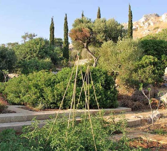 Giardino leucadense