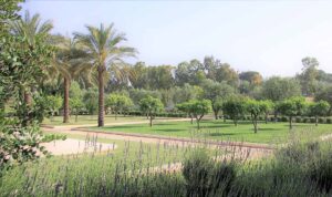 Il parco-giardino dei Curmuni